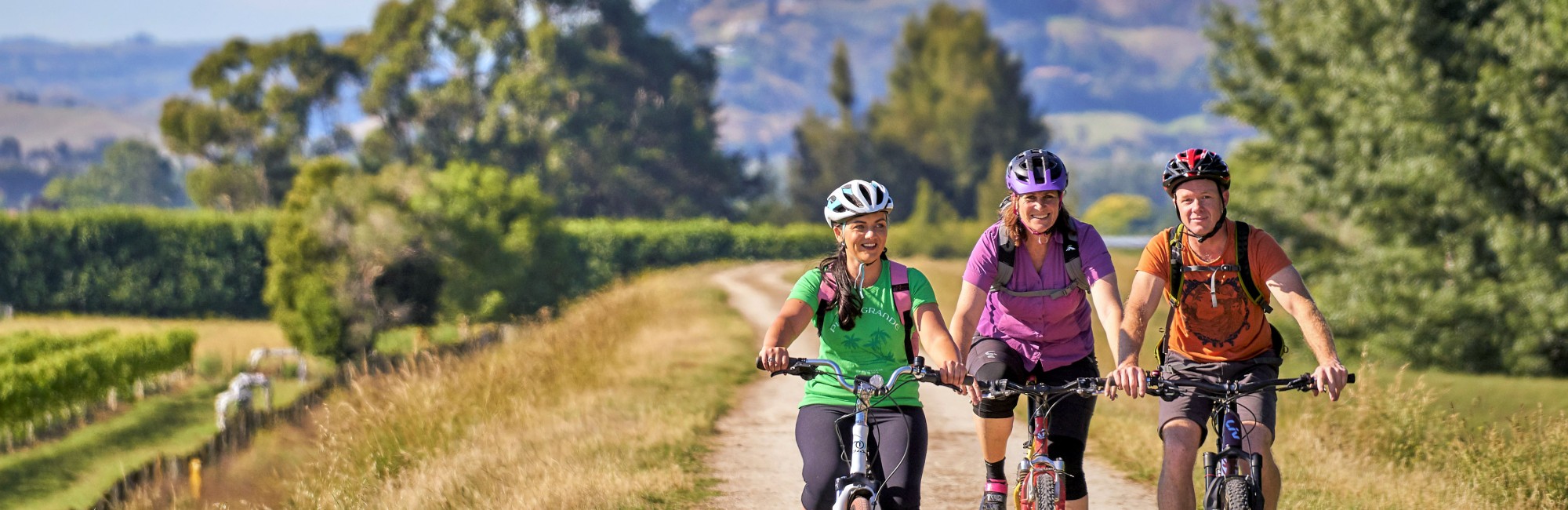 Hawkes Bay Trails Jan 2018 shoot cyclist and vines credit Hawkes Bay Trails