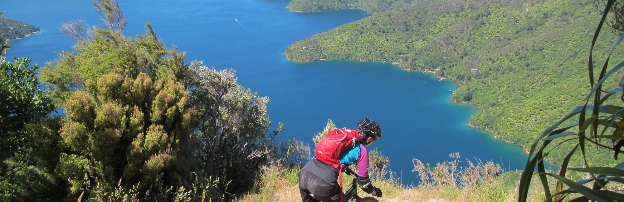 Queen Charlotte Track corner overlooking Queen Charlotte Sound credit bennettandslater.co.nz