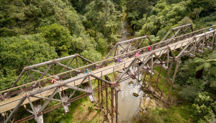 Twin Coast Cycle Trail bridge Ruth Lawton Photography